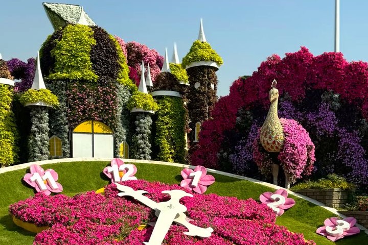 Entry Ticket of Dubai Miracle Garden